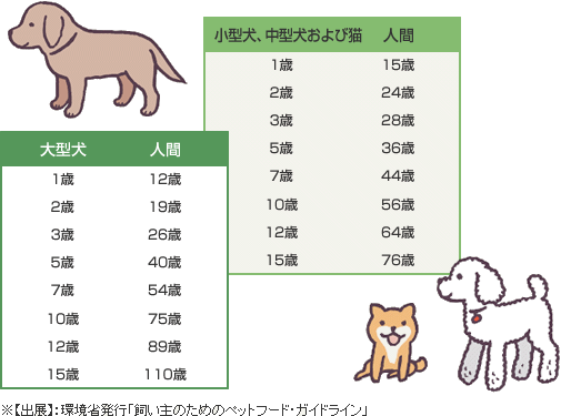 犬 年齢 人間